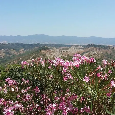 House Near Civita Di Bagnoregio - Amazing Panoramic View - Free Wi-fi Holiday home