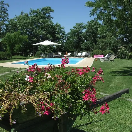 Holiday home House Near Civita Di Bagnoregio - Amazing Panoramic View - Free Wi-fi San Michele in Teverina